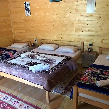 Valbona Villa Екстер'єр фото